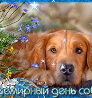 2 июля - Международный день собак