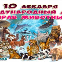 Международный день прав животных, День защиты животных