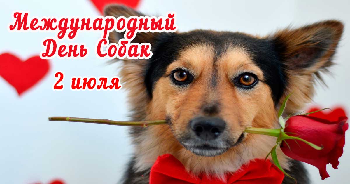 2 июля всемирный день собак