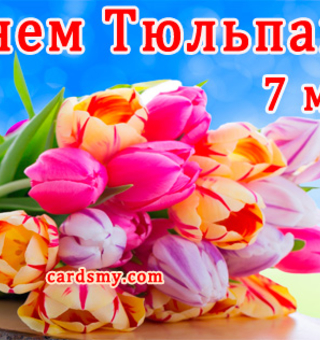 С Днём тюльпанов, Цветы