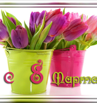 С 8 Марта ведро тюльпанов, Международный женский день 8 Марта