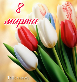 Тюльпаны к 8 марта женщинам, Международный женский день 8 Марта