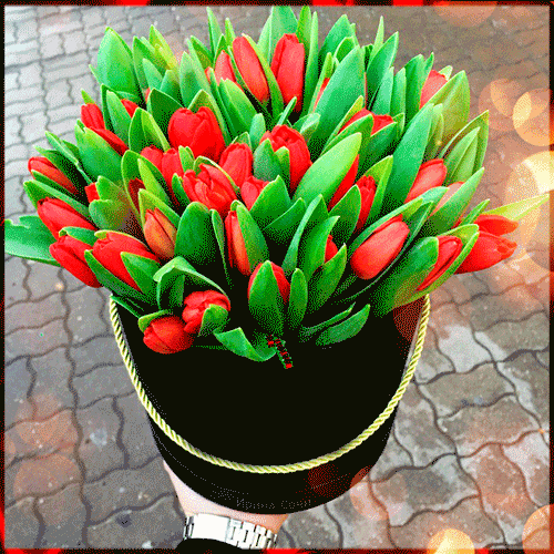 С 8 марта, ведёрко тюльпанов Международный женский день 8 Марта