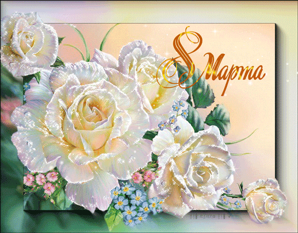С 8 марта белые розы Международный женский день 8 Марта
