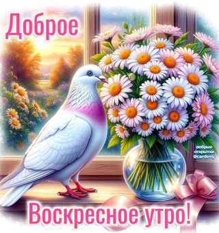 Доброе воскресное утро!