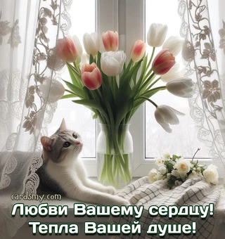 Любви Вашему сердцу! Тепла вашей душе!