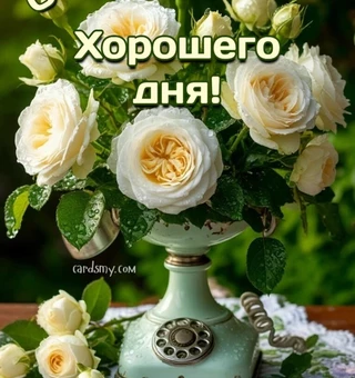 С добрым утром среды! Хорошего дня!