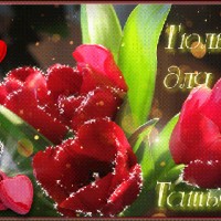 Тюльпаны для Татьяны