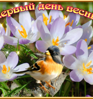 Gif открытка первый день весны, Весна