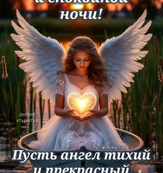 Доброго вечера и спокойной ночи!