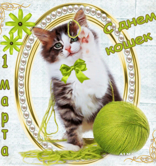 1 марта праздник всех кошек
