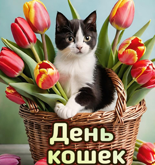 1 марта день кошек