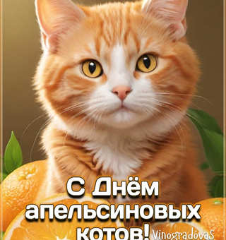 4 марта - День апельсиновых котов