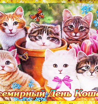 Открытка Всемирный день кошек, День кошек