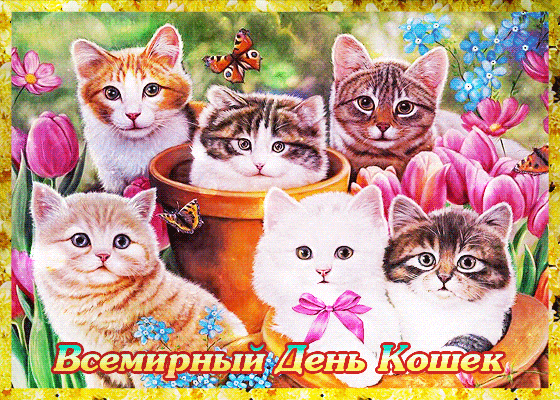 Галерея «ОкNо» выпустила открытки ко Дню кошек