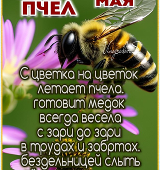 День пчел - С надписями