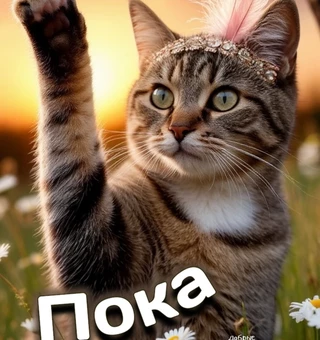 Пока! До встречи!