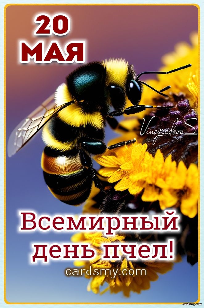 20 мая день пчел С надписями