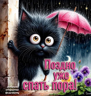 Поздно уже, спать пора!