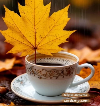 Осень — это индикатор, кто пессимист, кто оптимист Осень — это индикатор, кто пессимист, кто оптимист